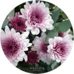 Circular plants-13