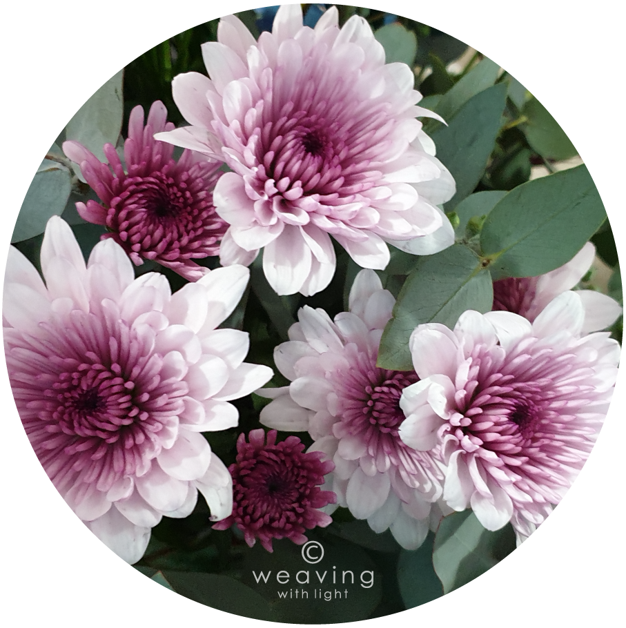 Circular plants-13